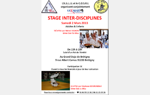 Stage Inter-Disciplines le 2 mars 2013